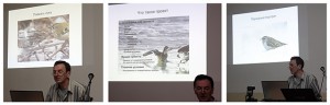 из презентации Виктора Тяхта
