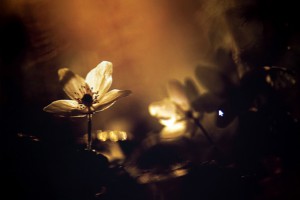 фото: Юлия Втюрина