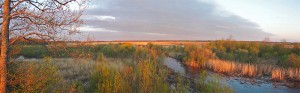Untitled_Panorama2_