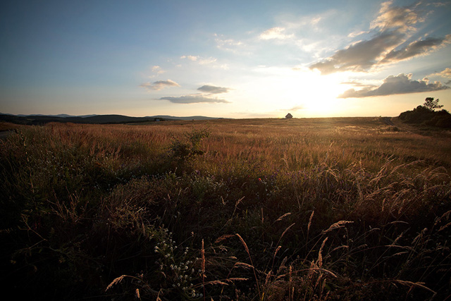 __5