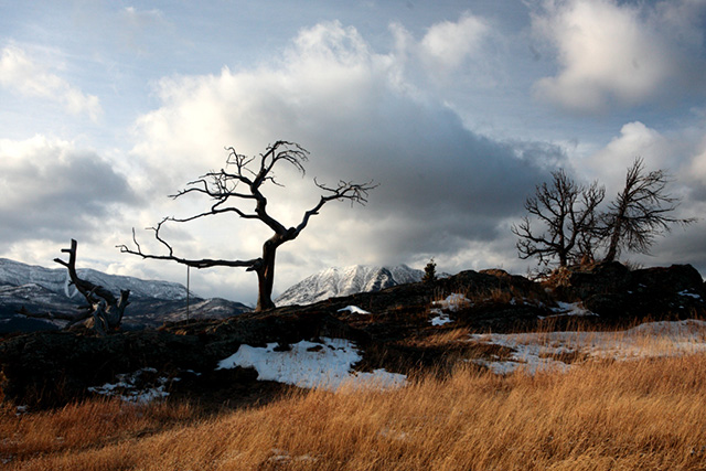 IMG_9252
