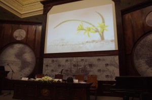 IMGP4035.1600
