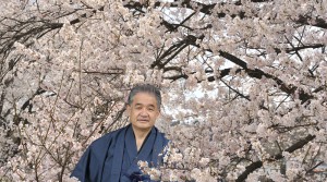Fukuda-Sakura