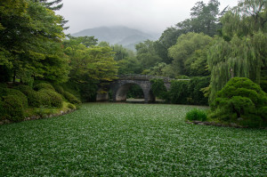 IMGP0542