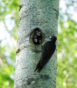 IMG_5623IMG_5623