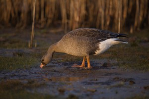 IMG_9778IMG_9778