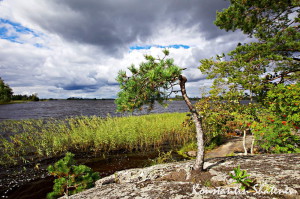 Vuoksa