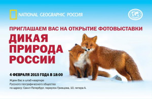 приглашение на открытие  2014