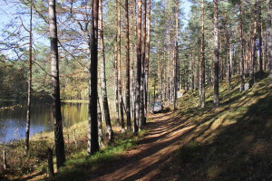 Раковые Озера_октябрь 2015_15