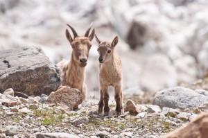 Image00004
