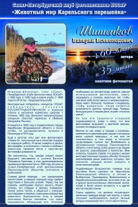 Животный мир Карельского перешейка