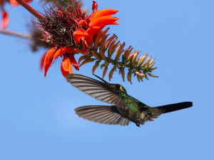 Eliseev D_O_2d