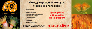 macrolive2