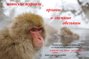 Shatenev_Konstantin