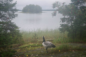 4 Кузнецов С.Н.