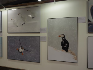 11_Золотая_черепаха_СПб