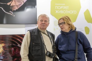 7_Золотая_черепаха_СПб