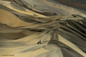 Solitude