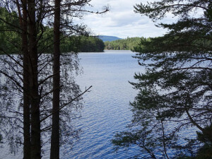 Lake Loch an Eilein