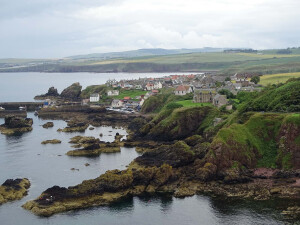 Заповедник St Abbs head_2