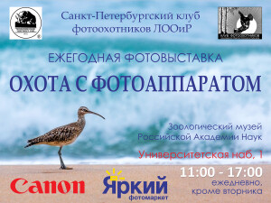 Постер выставка_Охота с фотоаппаратом_018