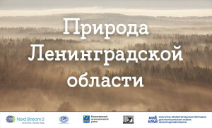 Природа Ленинградской области