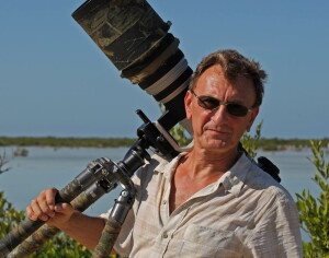 Елисеев Дмитрий