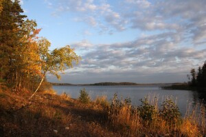 IMG_4516_новый размер